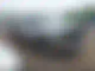 Vehicle Image- 2007 Dodge RAM 1500