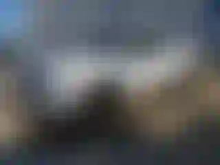 Vehicle Image- 2008 Dodge RAM 1500
