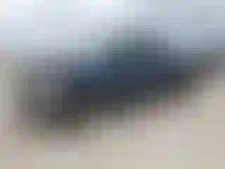Vehicle Image- 2007 Dodge RAM 1500