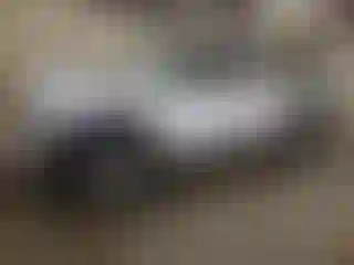 Vehicle Image- 2007 Dodge RAM 1500