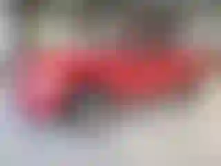 Vehicle Image- 2004 Dodge RAM 1500