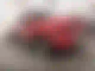 Vehicle Image- 2004 Dodge RAM 1500
