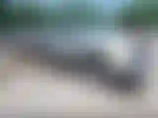 Vehicle Image- 2004 Dodge RAM 1500