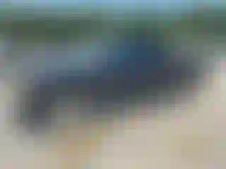 Vehicle Image- 2004 Dodge RAM 1500