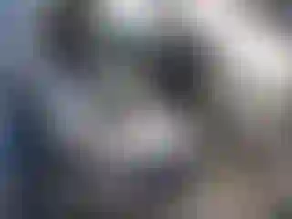 Vehicle Image- 2004 Dodge RAM 1500