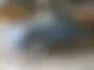Vehicle Image- 2005 Dodge RAM 1500