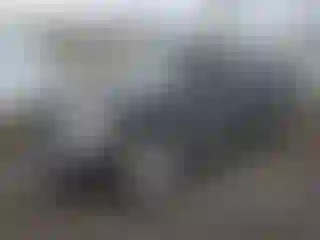 Vehicle Image- 2003 Dodge RAM 1500