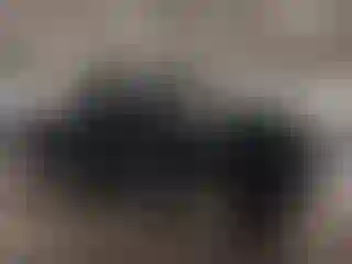 Vehicle Image- 2003 Dodge RAM 1500