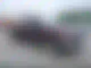 Vehicle Image- 2004 Dodge RAM 1500