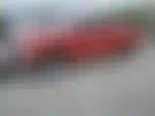 Vehicle Image- 2004 Dodge RAM 1500