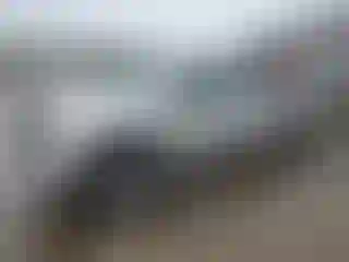 Vehicle Image- 2004 Dodge RAM 1500