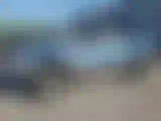 Vehicle Image- 2004 Dodge RAM 1500