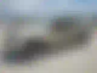 Vehicle Image- 2003 Dodge RAM 1500