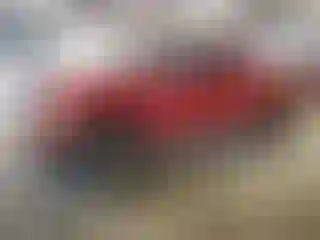 Vehicle Image- 2006 Dodge RAM 1500