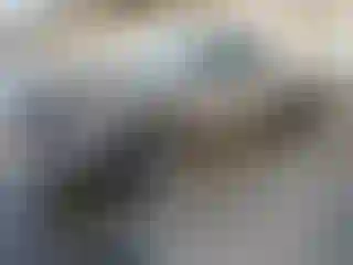 Vehicle Image- 2003 Dodge RAM 1500