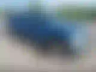 Vehicle Image- 2005 Dodge RAM 1500