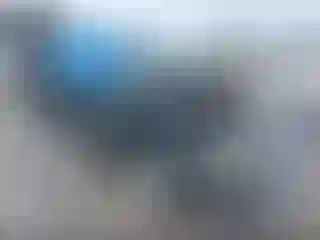 Vehicle Image- 2008 Dodge RAM 1500