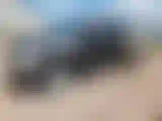 Vehicle Image- 2008 Dodge RAM 1500