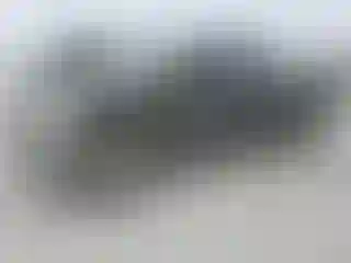Vehicle Image- 2008 Dodge RAM 1500