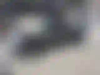 Vehicle Image- 2007 Dodge RAM 1500