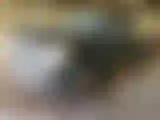 Vehicle Image- 2007 Dodge RAM 1500