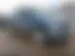 Vehicle Image- 2002 Dodge RAM 1500