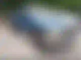 Vehicle Image- 2002 Dodge RAM 1500