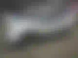 Vehicle Image- 2002 Dodge RAM 1500