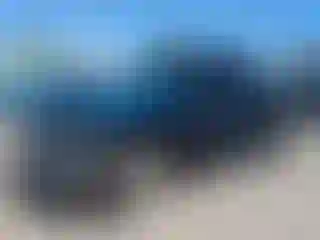 Vehicle Image- 2002 Dodge RAM 1500