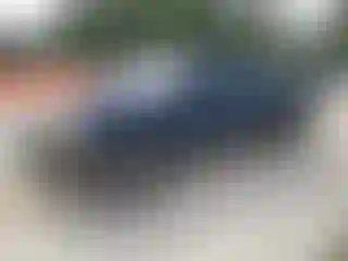 Vehicle Image- 2005 Dodge Dakota