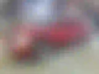 Vehicle Image- 2007 Dodge Dakota