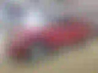 Vehicle Image- 2008 Dodge Dakota