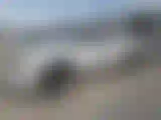 Vehicle Image- 2005 Dodge Dakota