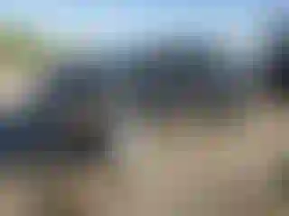 Vehicle Image- 2008 Dodge Dakota