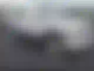 Vehicle Image- 2008 Dodge Dakota