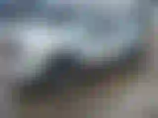Vehicle Image- 2005 Dodge Dakota