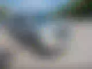 Vehicle Image- 2007 Dodge Dakota