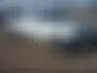Vehicle Image- 2008 Dodge Dakota