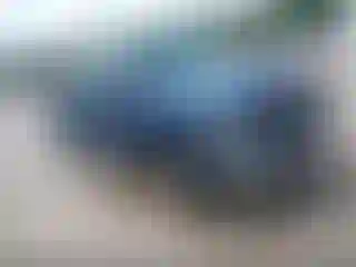 Vehicle Image- 2010 Dodge RAM 1500