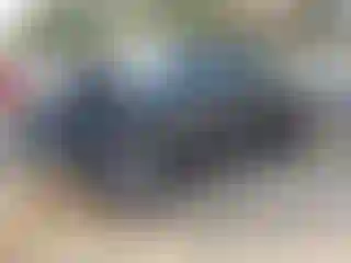 Vehicle Image- 2011 Dodge RAM 1500