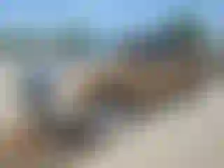 Vehicle Image- 2011 Dodge RAM 1500