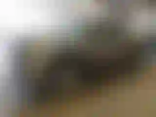 Vehicle Image- 2010 Dodge RAM 1500