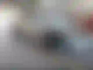 Vehicle Image- 2011 RAM 1500