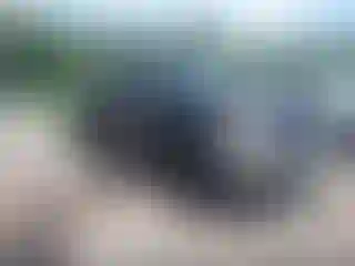 Vehicle Image- 2010 Dodge RAM 1500