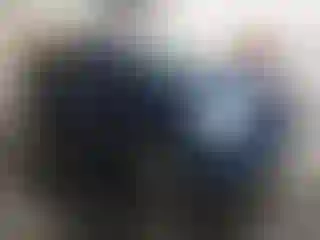 Vehicle Image- 2011 RAM 1500