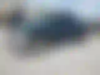 Vehicle Image- 2011 Dodge RAM 1500