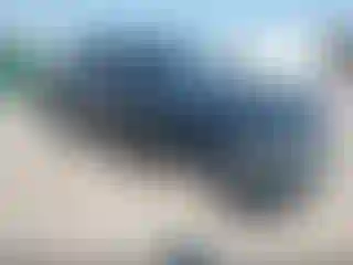 Vehicle Image- 2011 RAM 1500