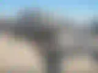 Vehicle Image- 2011 RAM 1500