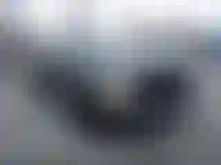 Vehicle Image- 2010 Dodge RAM 1500