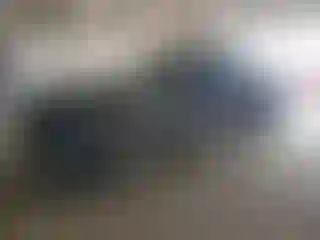 Vehicle Image- 2010 Dodge RAM 1500